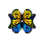 BUTTERFLYÆFFECTCO | ÆOASIS logo