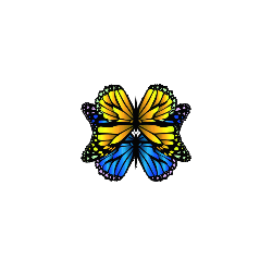 BUTTERFLYÆFFECTCO | ÆOASIS