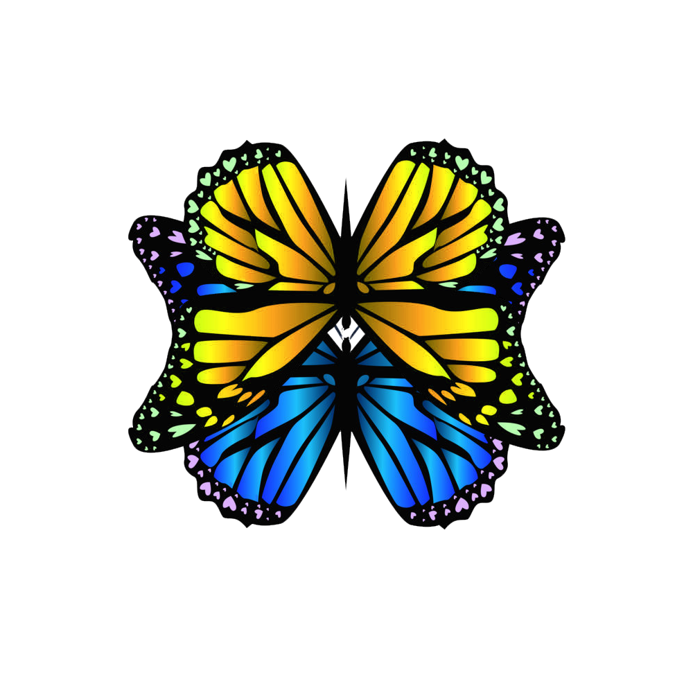 BUTTERFLYAEFFECTCO AEOASIS BUTTERFLY FFECTCO OASIS butterflyaeffectco-aeoasis-butterfly-ffectco-oasis